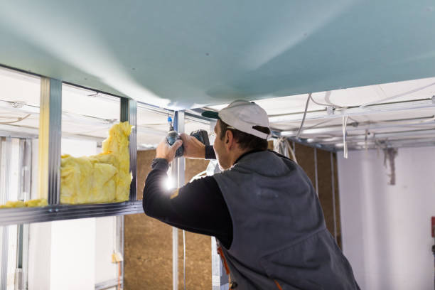 Best Cellulose Insulation in Kirksville, MO