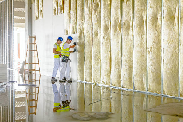 Best DIY Insulation Kits and Guidance in Kirksville, MO